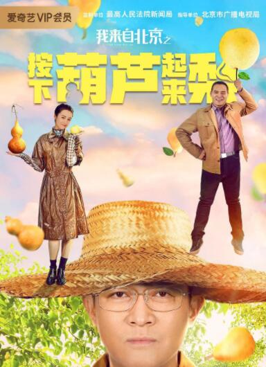 我来自北京之按下葫芦起来梨(全集)