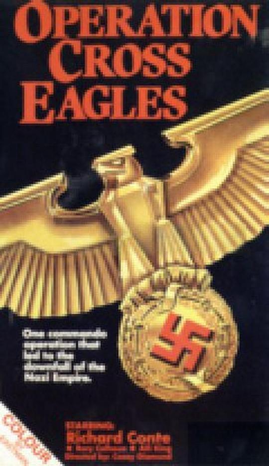 十字鹰行动(全集)