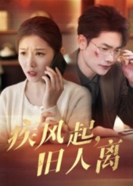 疾风起旧人离短剧(全集)