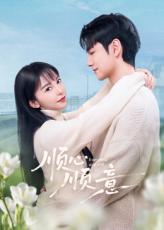 顺心顺意(全集)