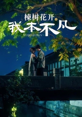楝树花开之我本不凡(全集)
