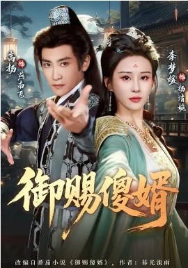 御赐傻婿(全集)