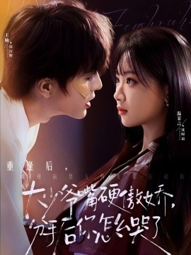 大少爷嘴硬傲娇，分手后你怎么哭了(全集)