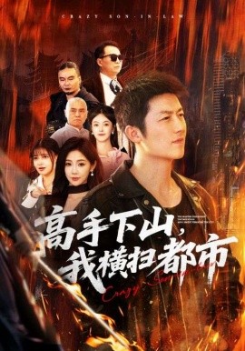 高手下山，我横扫都市(全集)