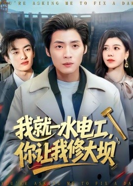 我就一水电工，你让我修大坝(全集)